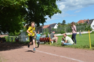 Vereinssportfest 2024